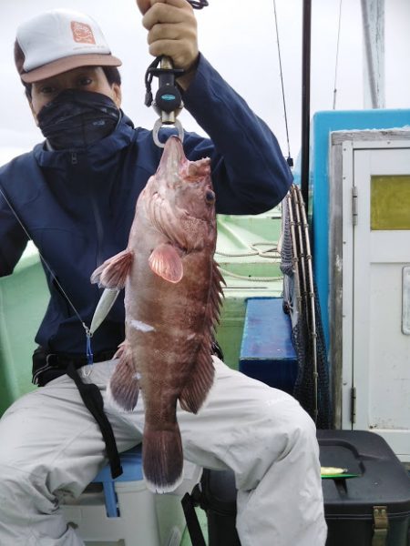 ジギング釣り果